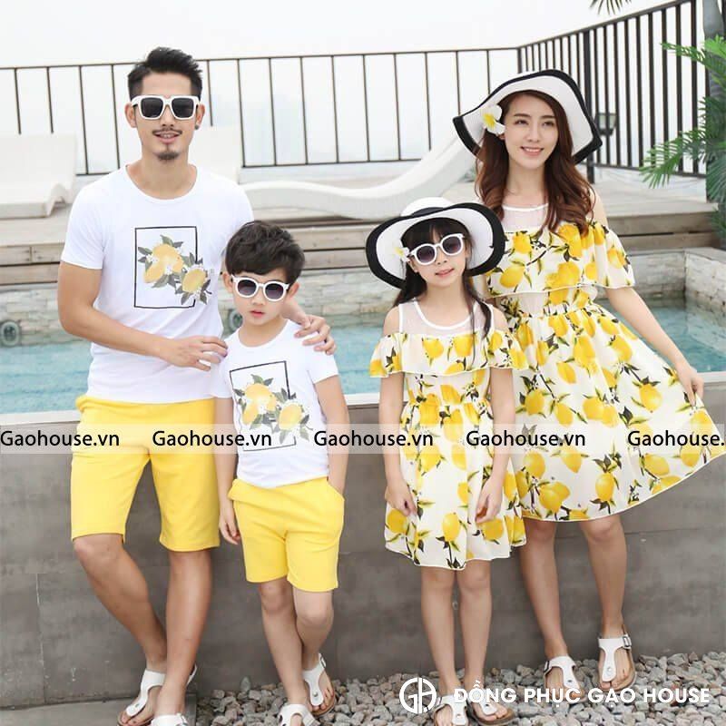 2_bộ áo váy gia đình cao cấp