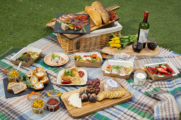 do-an-picnic-de-lam