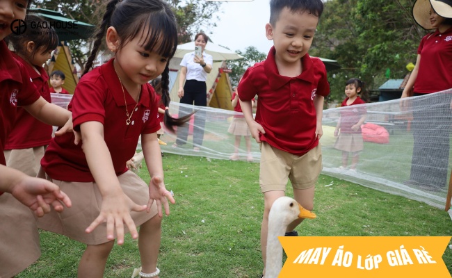 áo phông đồng phục trường iSchool