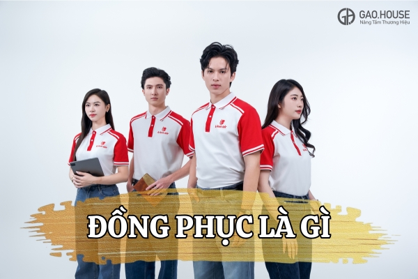giải thích khái niệm đồng phục đồng phục là gì