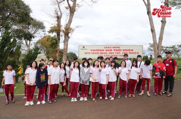 áo polo đồng phục trường ngô thời nhiệm cấp 1