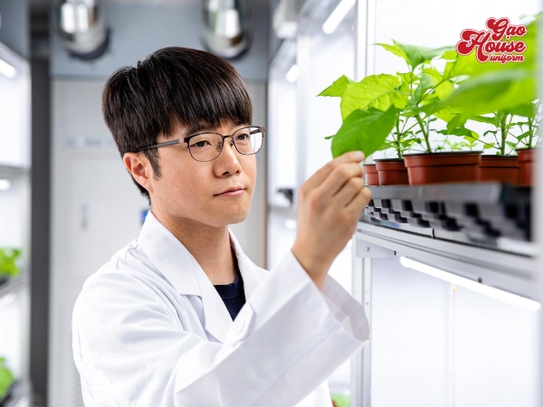 đồng phục trường đại học quốc gia seoul khoa điều dưỡng